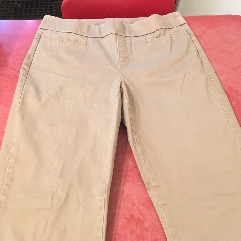 Dress pants