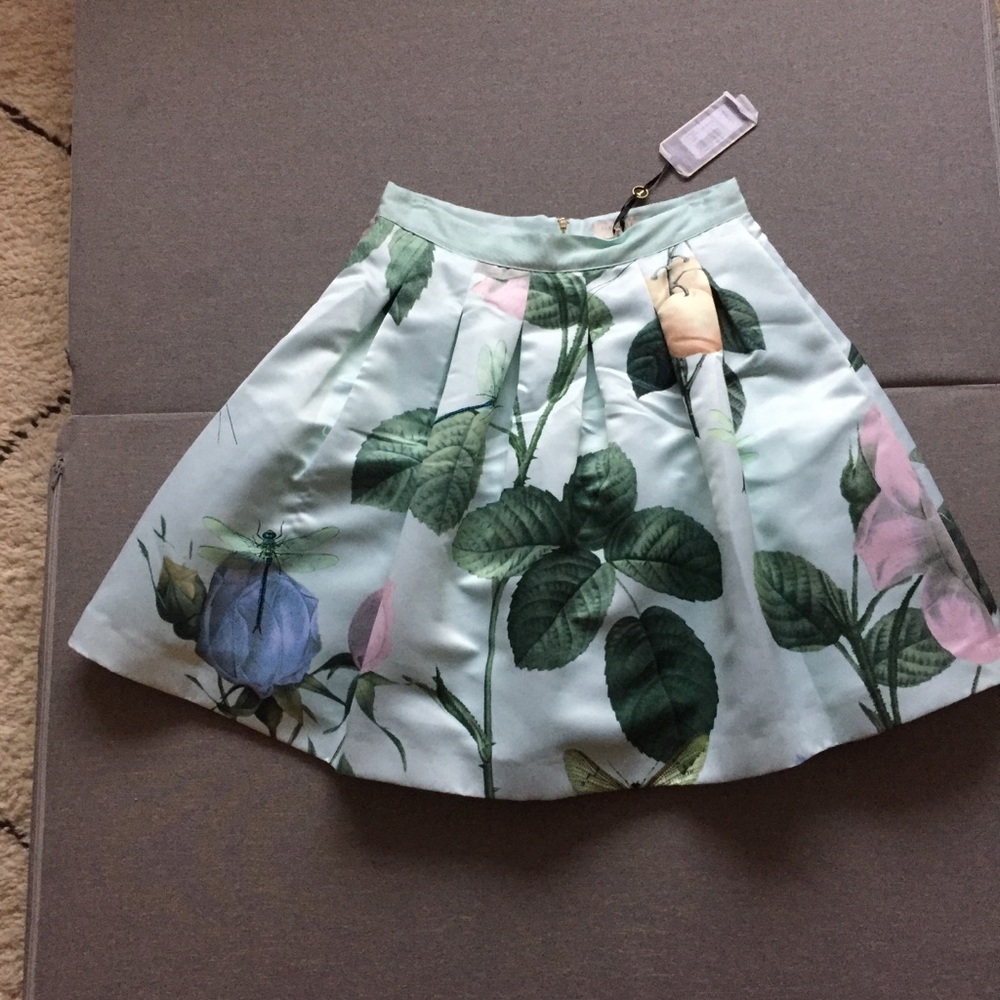 Ted Baker pleated skirt distinguishing Rose mint