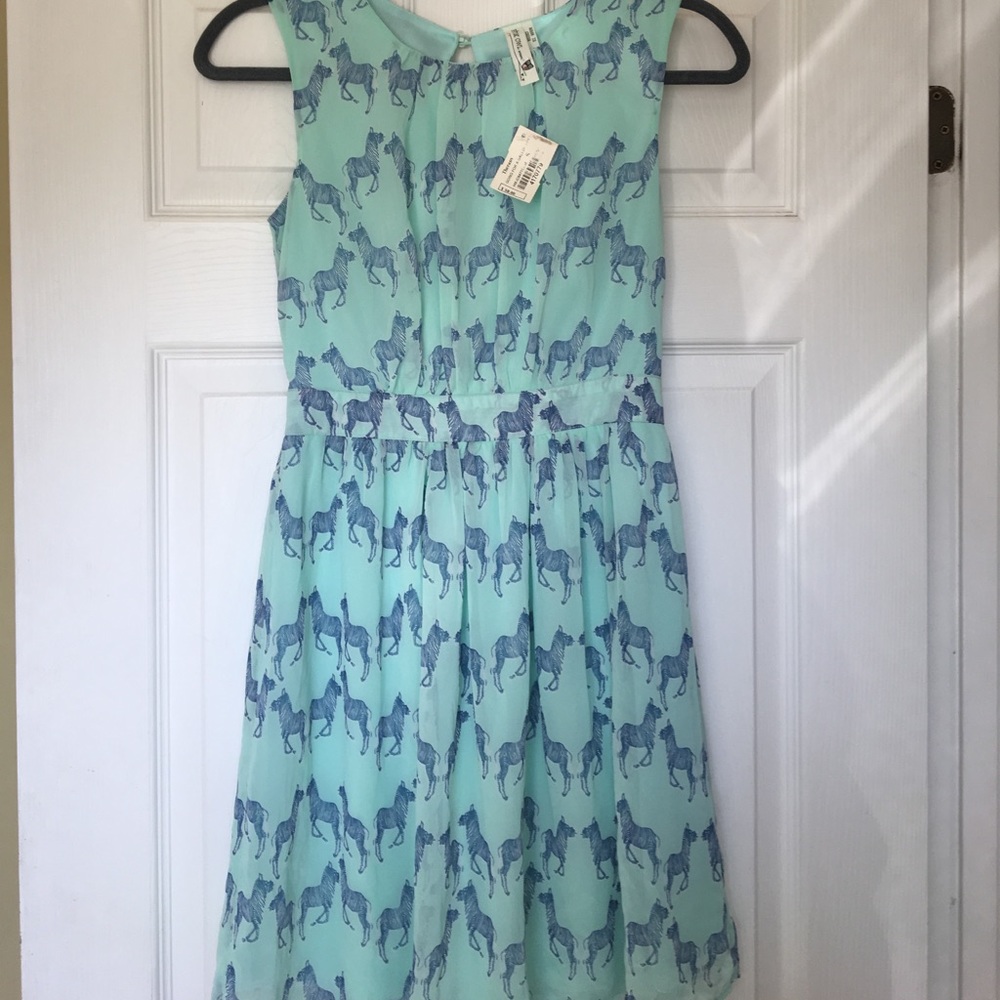 Never worn/NWT mint zebra print dress