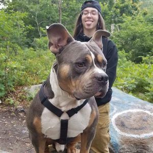 Meet your Posher, Shakina