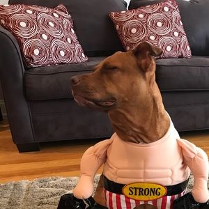 Meet your Posher, Melissa