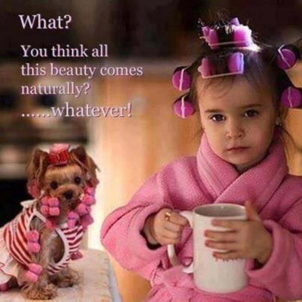 Meet your Posher, Lisa