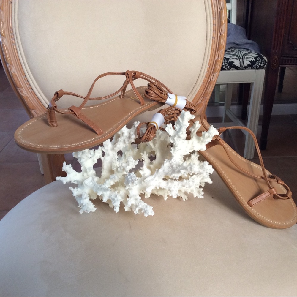Brand New -- Great Gladiator sandals