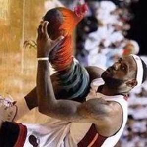 Meet your Posher, Edwin