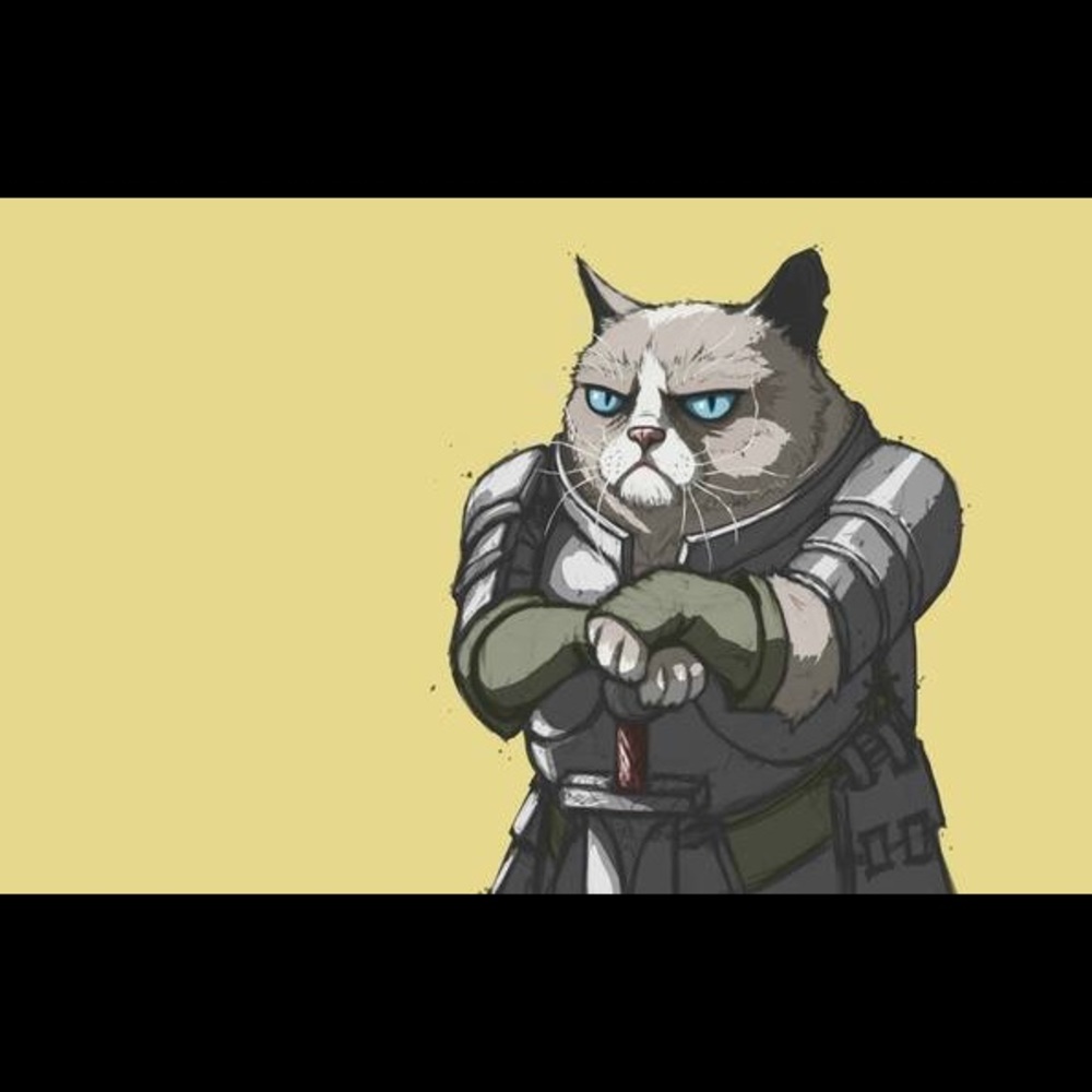 Meet your Posher, Jenni