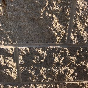 Meet your Posher, Elsa