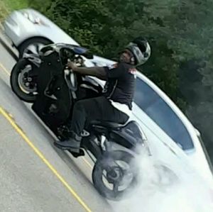 Meet your Posher, Maurice