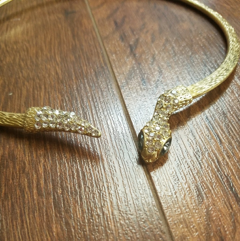 Gold colored snake choker