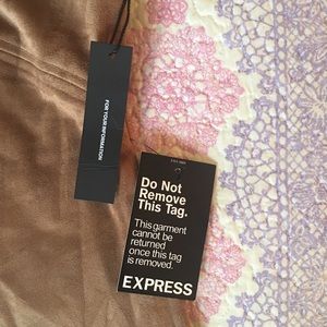 Express Suede Dress