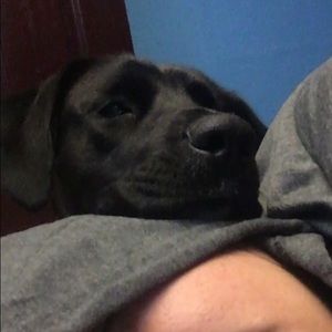 Meet your Posher, Karol