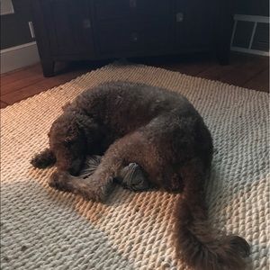 Meet your Posher, Alex