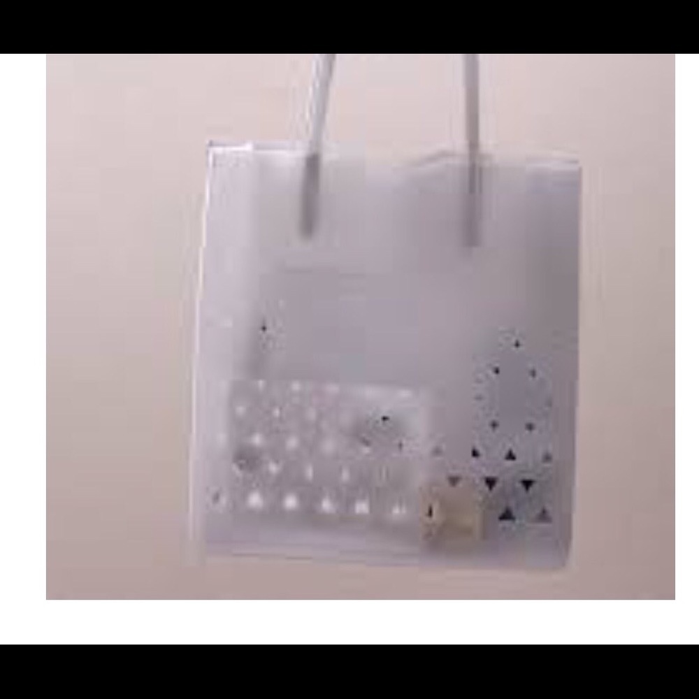 Eddie borgo tore bag