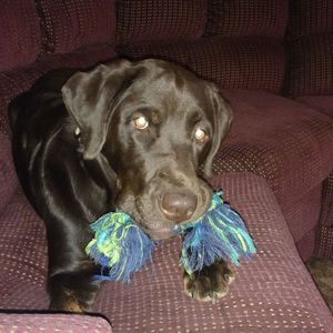 Meet your Posher, Beverly