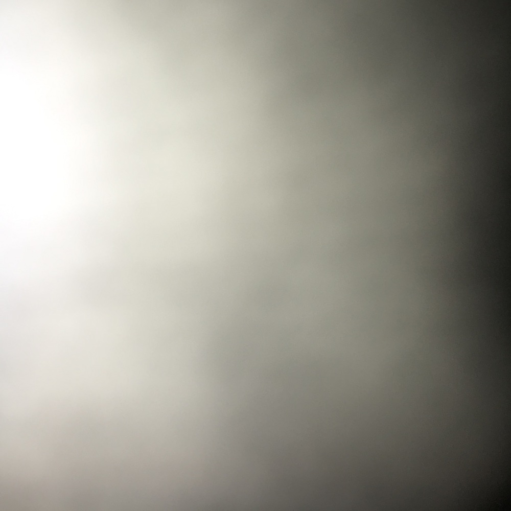 Meet your Posher, Sophie