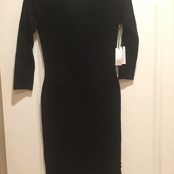 NWT velvet by graham and Spencer - Picture 3 of 3