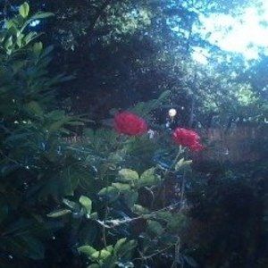 Meet your Posher, Charles