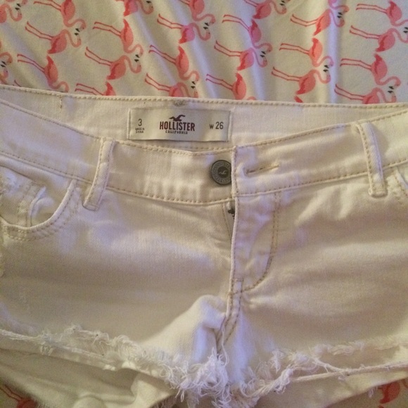 🔴Hollister 🌊 shorts - Picture 8 of 8