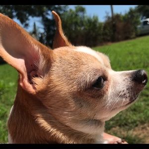 Meet your Posher, Ann