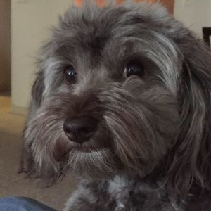 Meet your Posher, Aphro