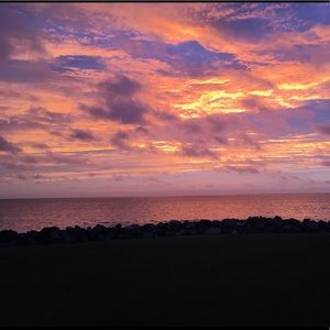 Meet your Posher, Jayne