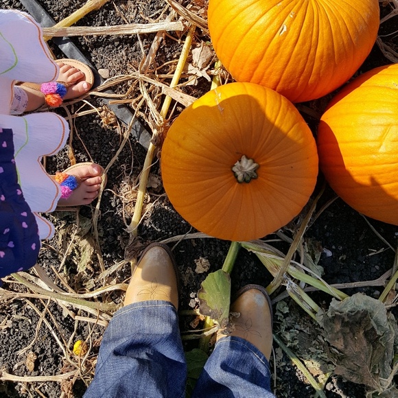 Meet your Posher, Amy - Picture 2 of 8