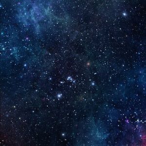 Meet your Posher, Halie