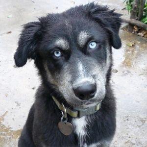 Meet your Posher, Elise