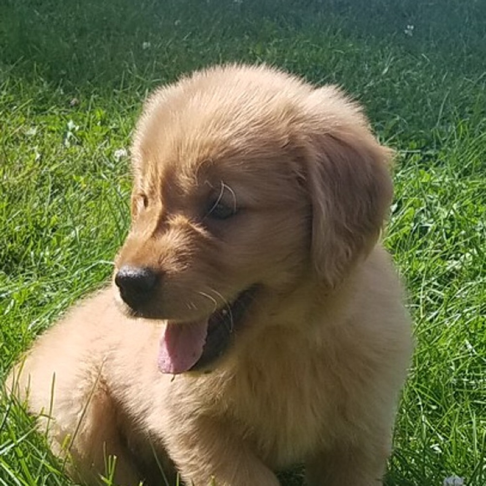 Meet your Posher, Jason