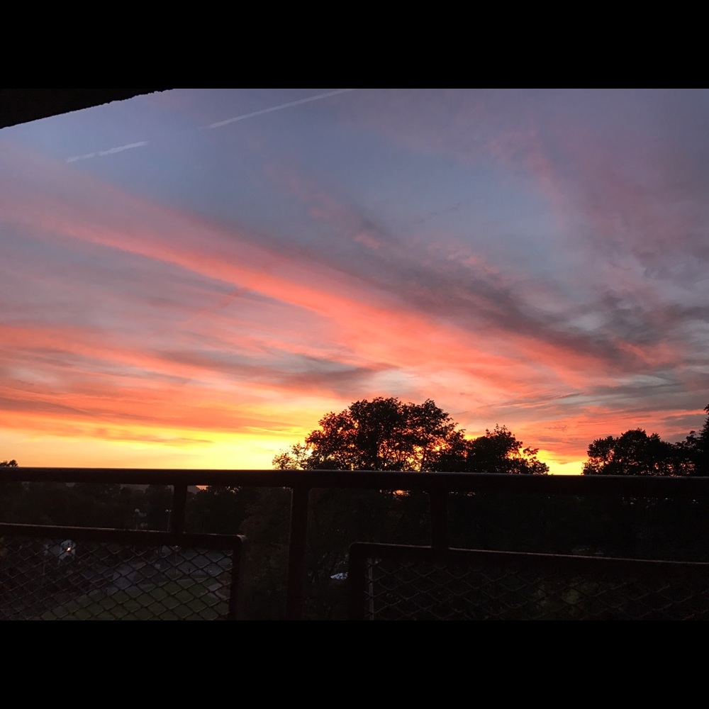 Meet your Posher, Ariana