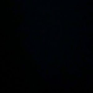 Meet your Posher, Nedra