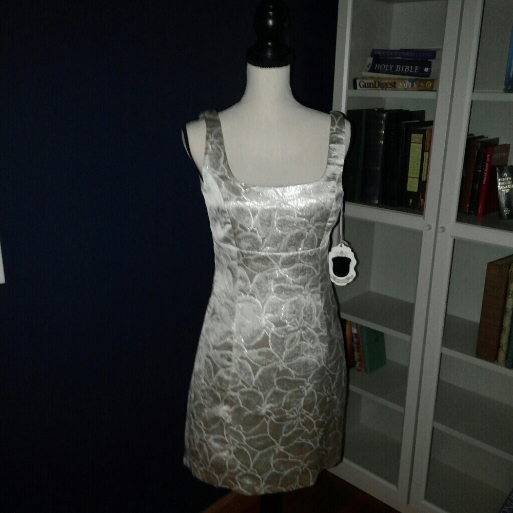 BB DAKOTA COCKTAIL DRESS NWT