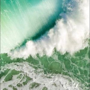 Meet your Posher, Dalton