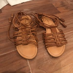 Madden girl gladiator saddles.