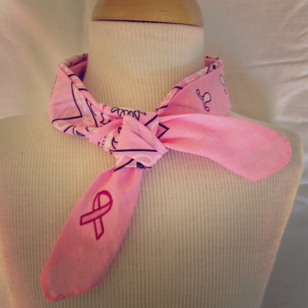 Fundraising Item.  ALL proceeds will go to ACS
