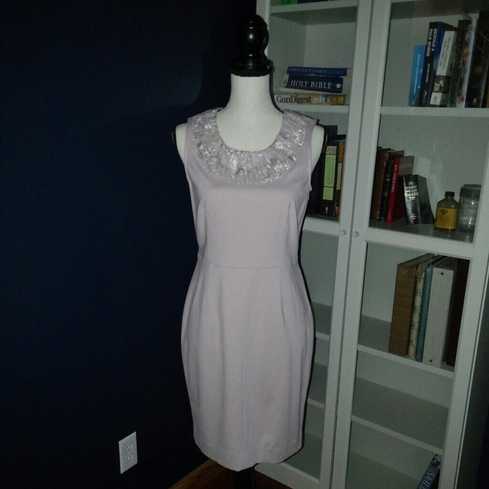 Banana Republic pink/mauve dress