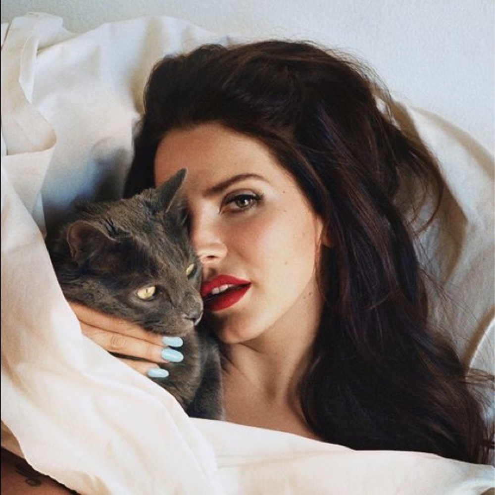 Meet your Posher, Lacey