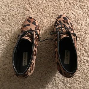 Leopard print Steve Madden booties