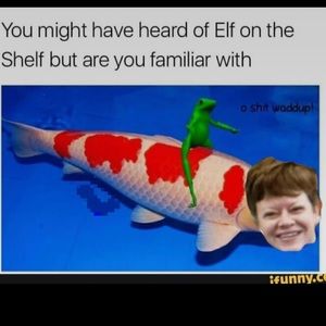 DANK MEMES 🔥🔥😂😂😂