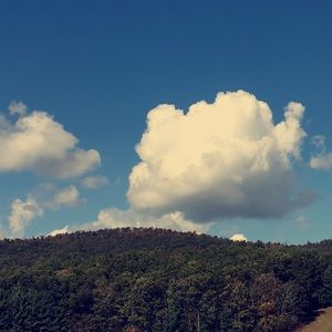 Meet your Posher, Allie