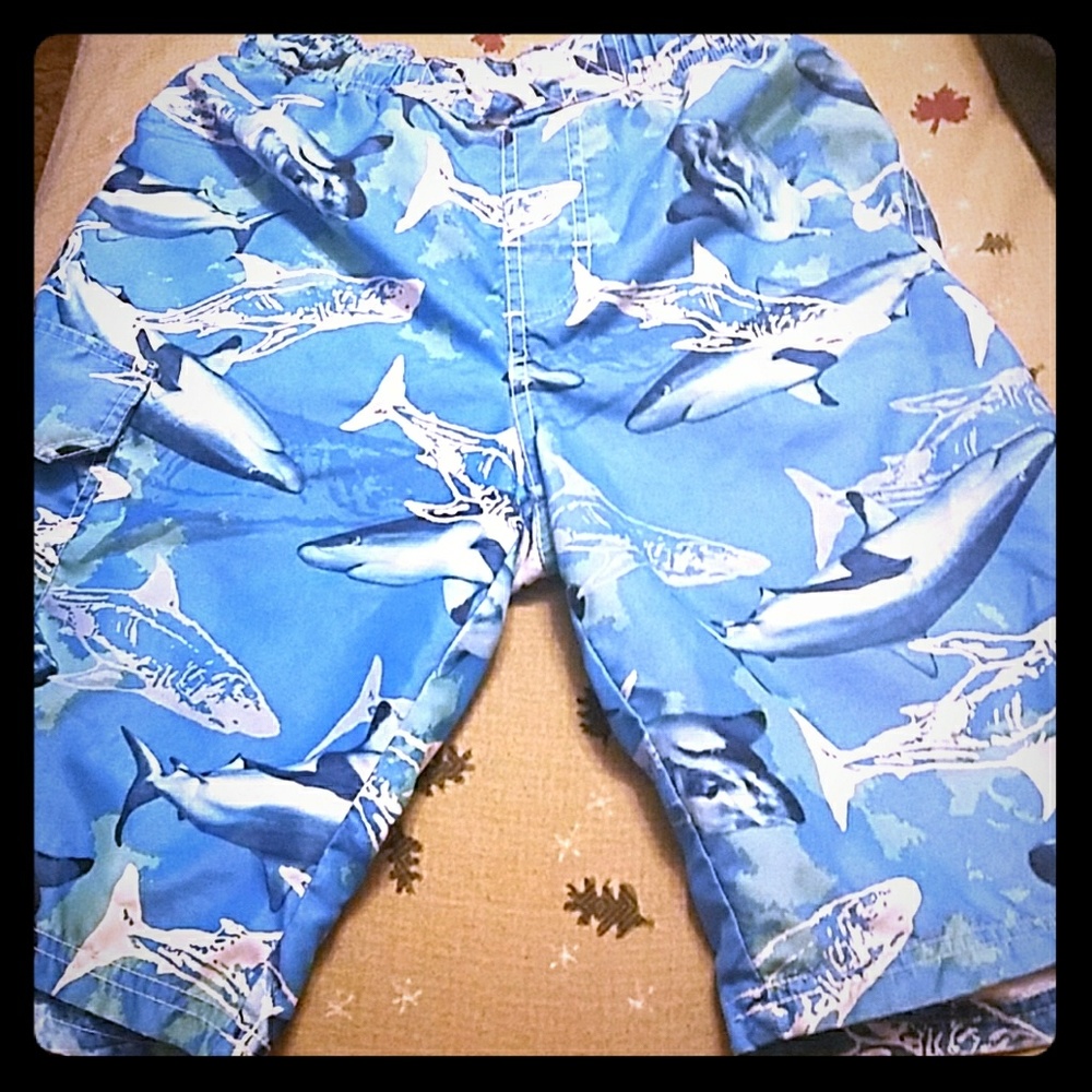 Boys xl swim trunks size 14-16