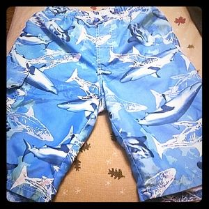 Boys xl swim trunks size 14-16
