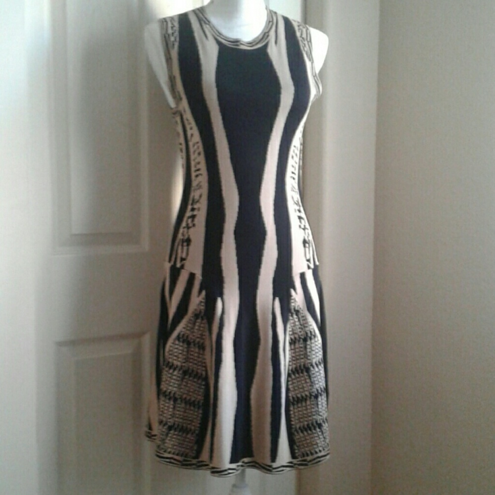 NWOT Bodycon Dress