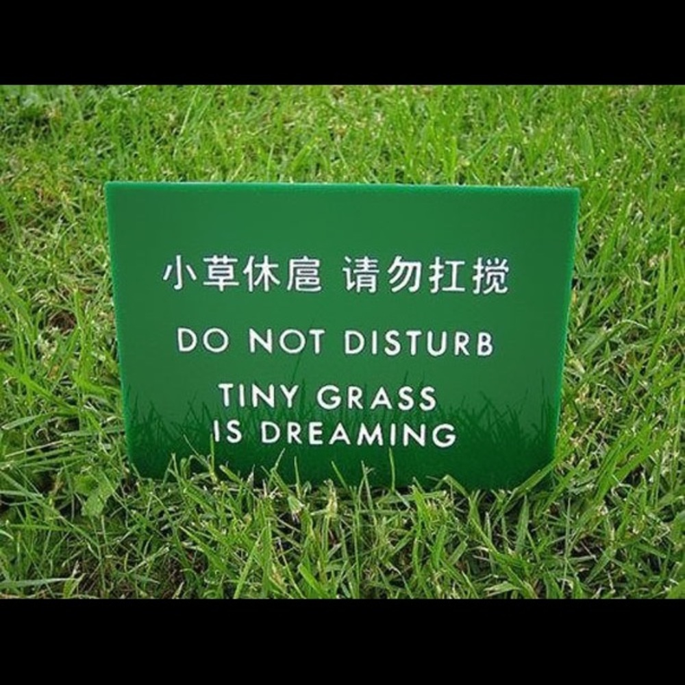 Meet your Posher, Becca