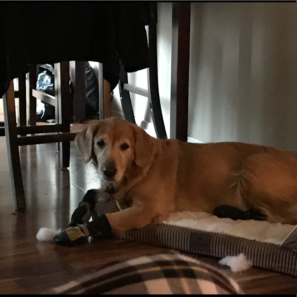 Meet your Posher, Melissa