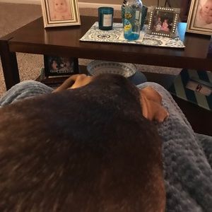 Meet your Posher, Austin