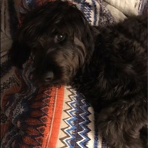 Meet your Posher, Sara