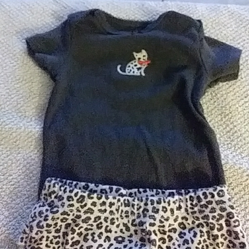 Carter's two piece outfit