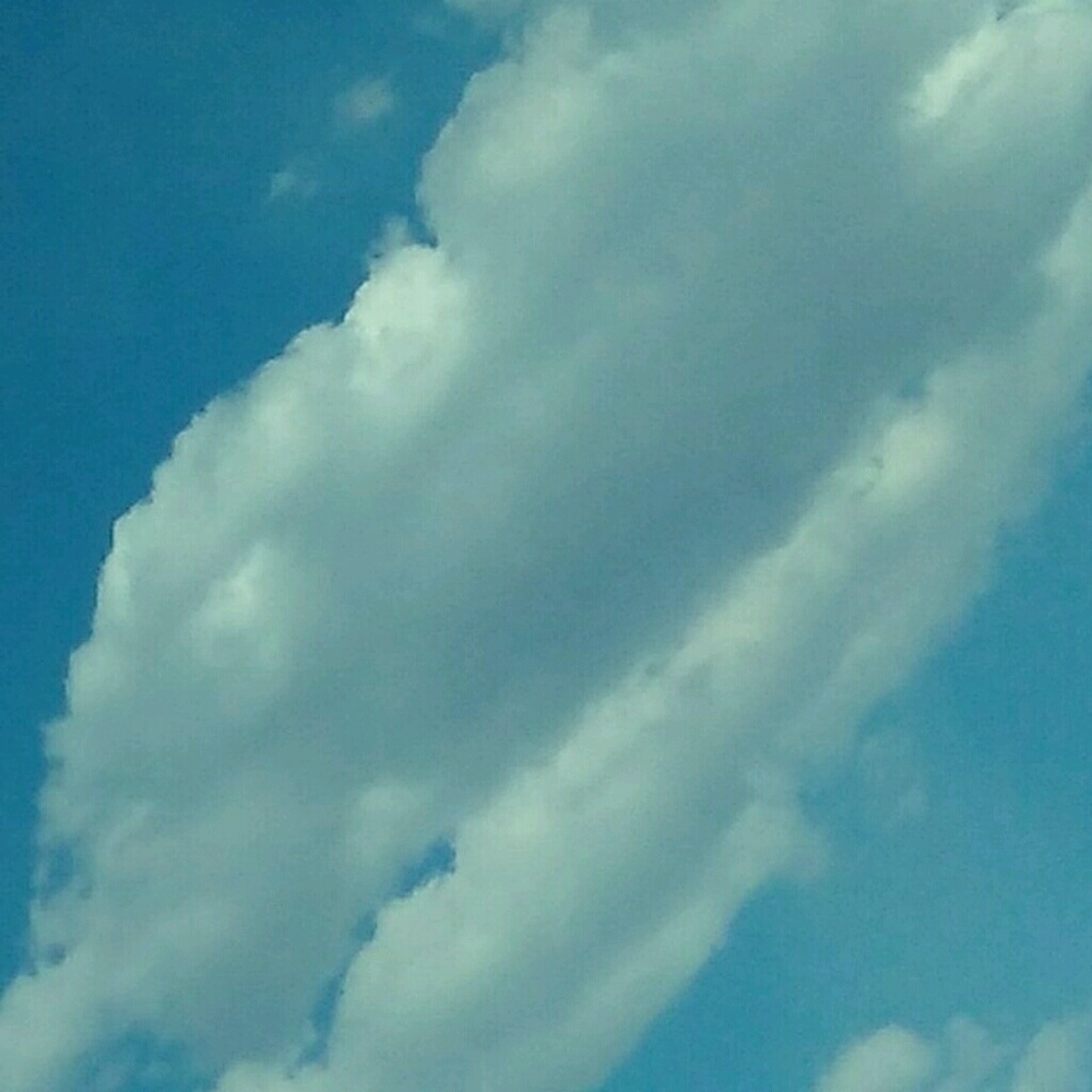 Meet your Posher, Violette