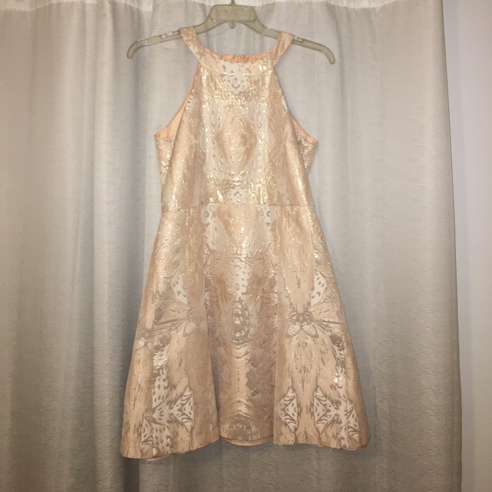 Gorgeous Blush Dress!
