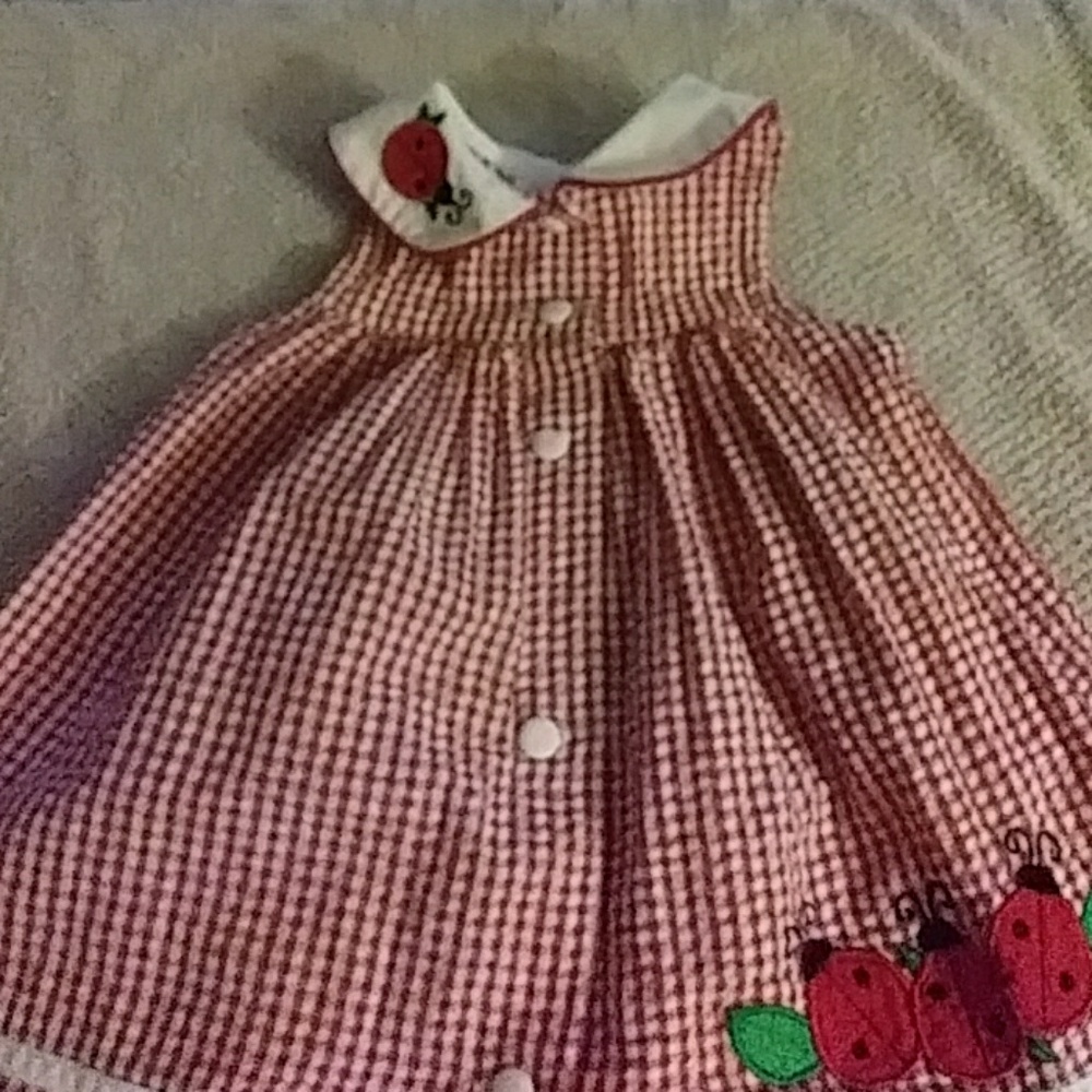 Rare Editions lady bug dress